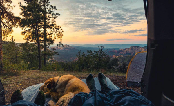 10 Tips for Camping with Your Dog