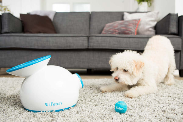 The iFetch training tool kit is step one to training your dog to use the iFetch or iFetch Too!