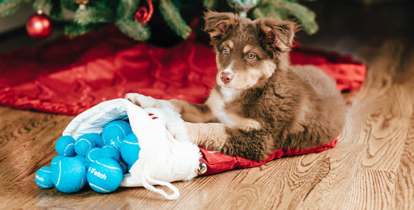 Fun holiday gifts for your furry bestie!