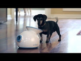 iFetch Ball Launcher