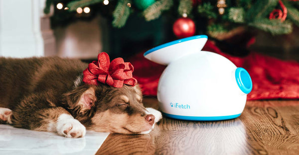 Dog Toy Gifts for 2019 – Holiday Hot List