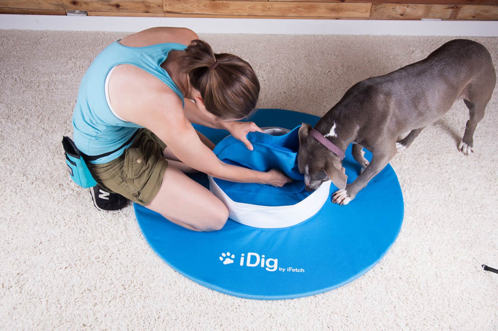 Ig Dig iDig Tips: Diggers Gonna Dig! – iFetch