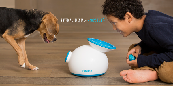 iFetch