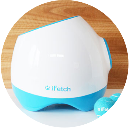 Ifetch automatic ball launcher deals