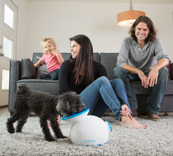 iFetch Ball Launcher