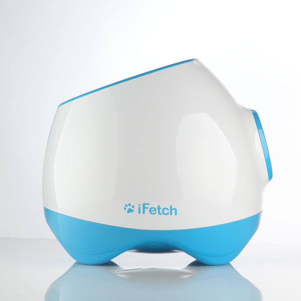 Ifetch interactive ball on sale launcher