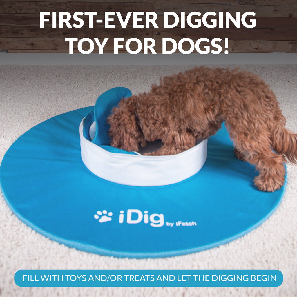 iDig Go Digging Toy – iFetch
