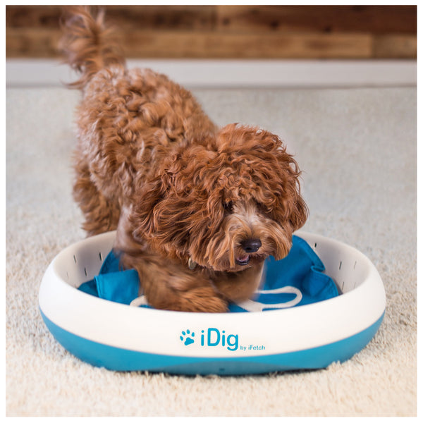 iFetch iDig Stay Digging Toy for Dogs