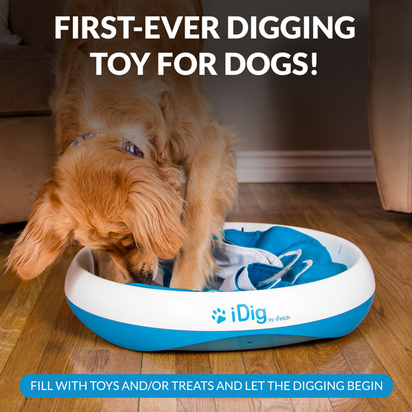 iDig Stay Digging Toy
