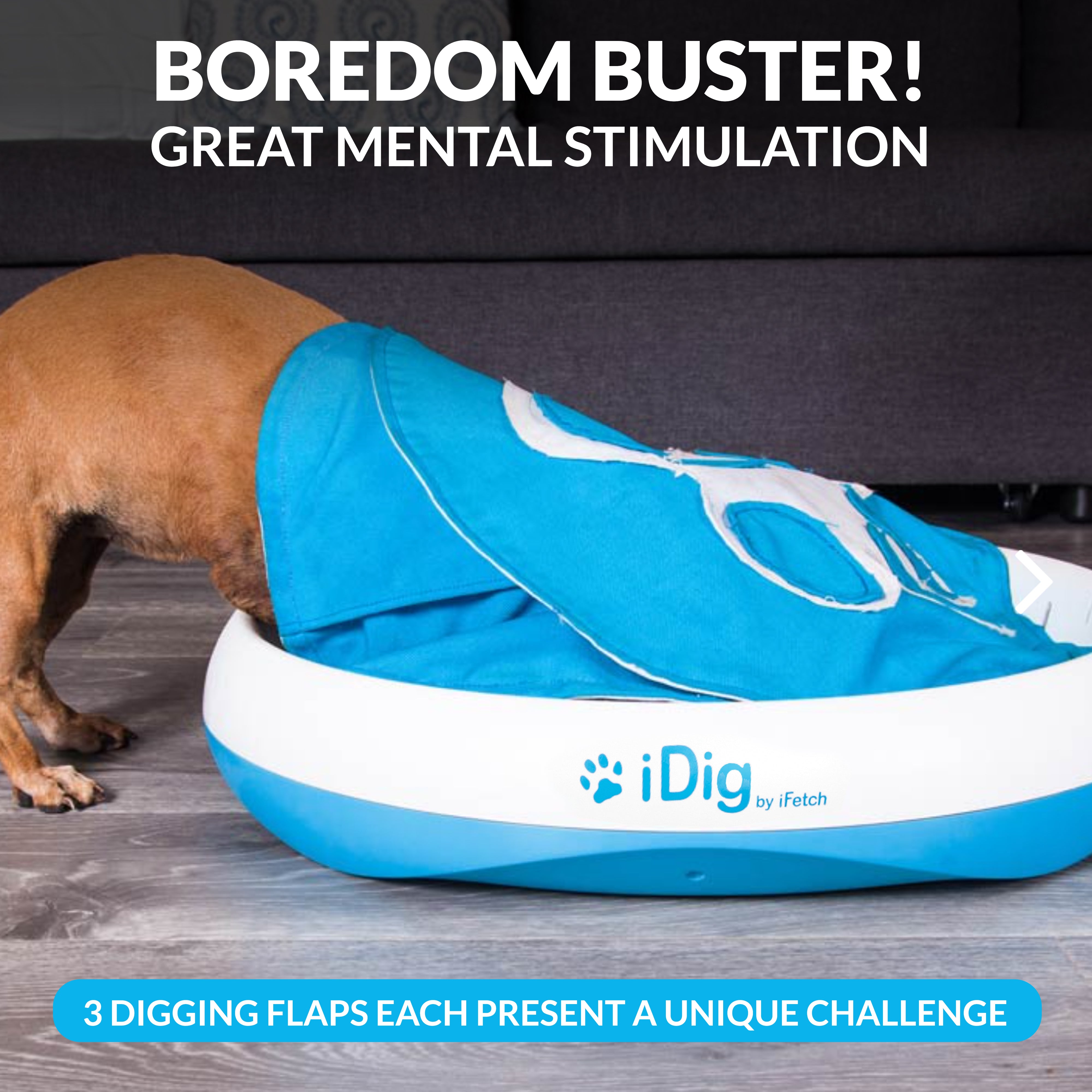 iDig Stay Digging Toy – iFetch