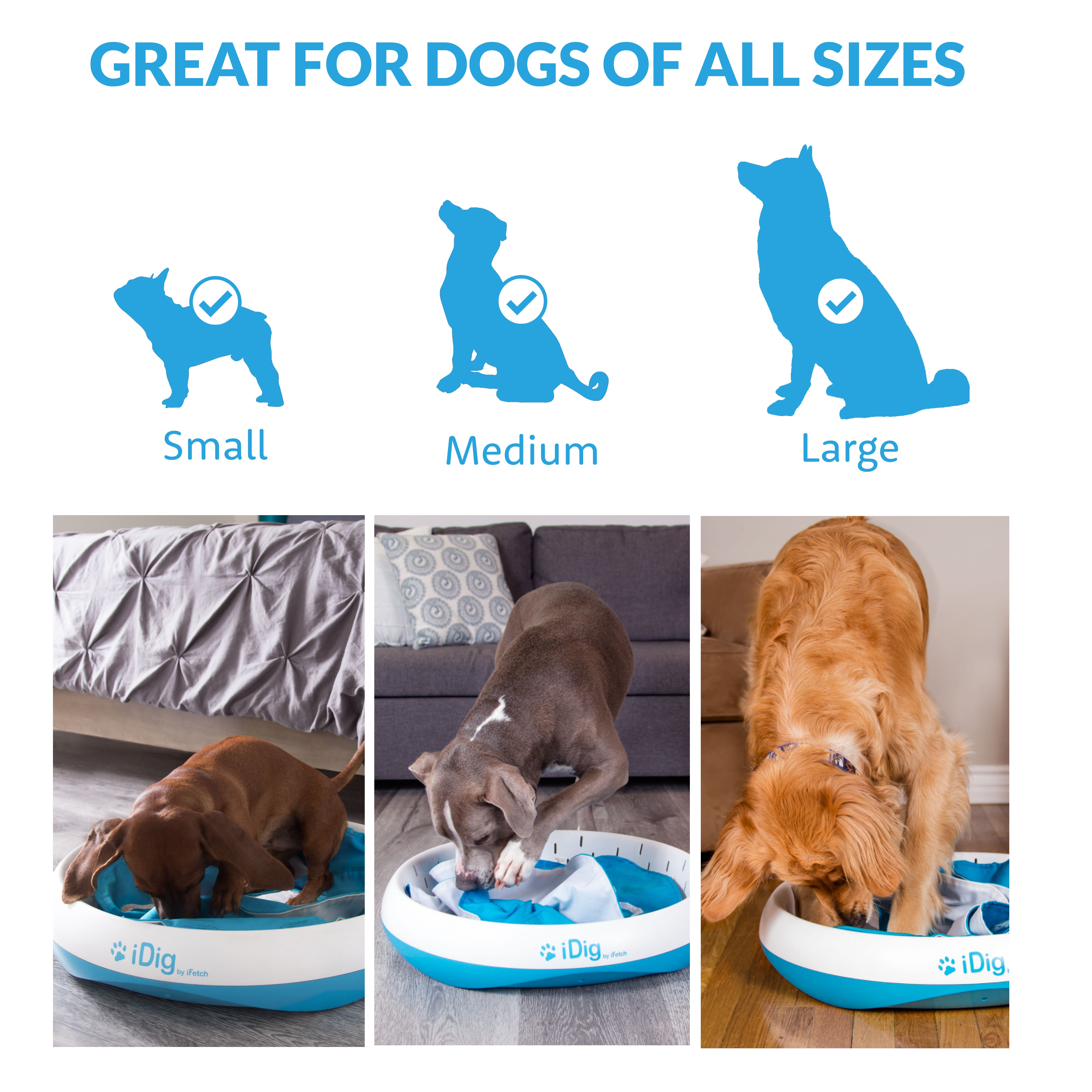 iDig Stay Digging Toy – iFetch