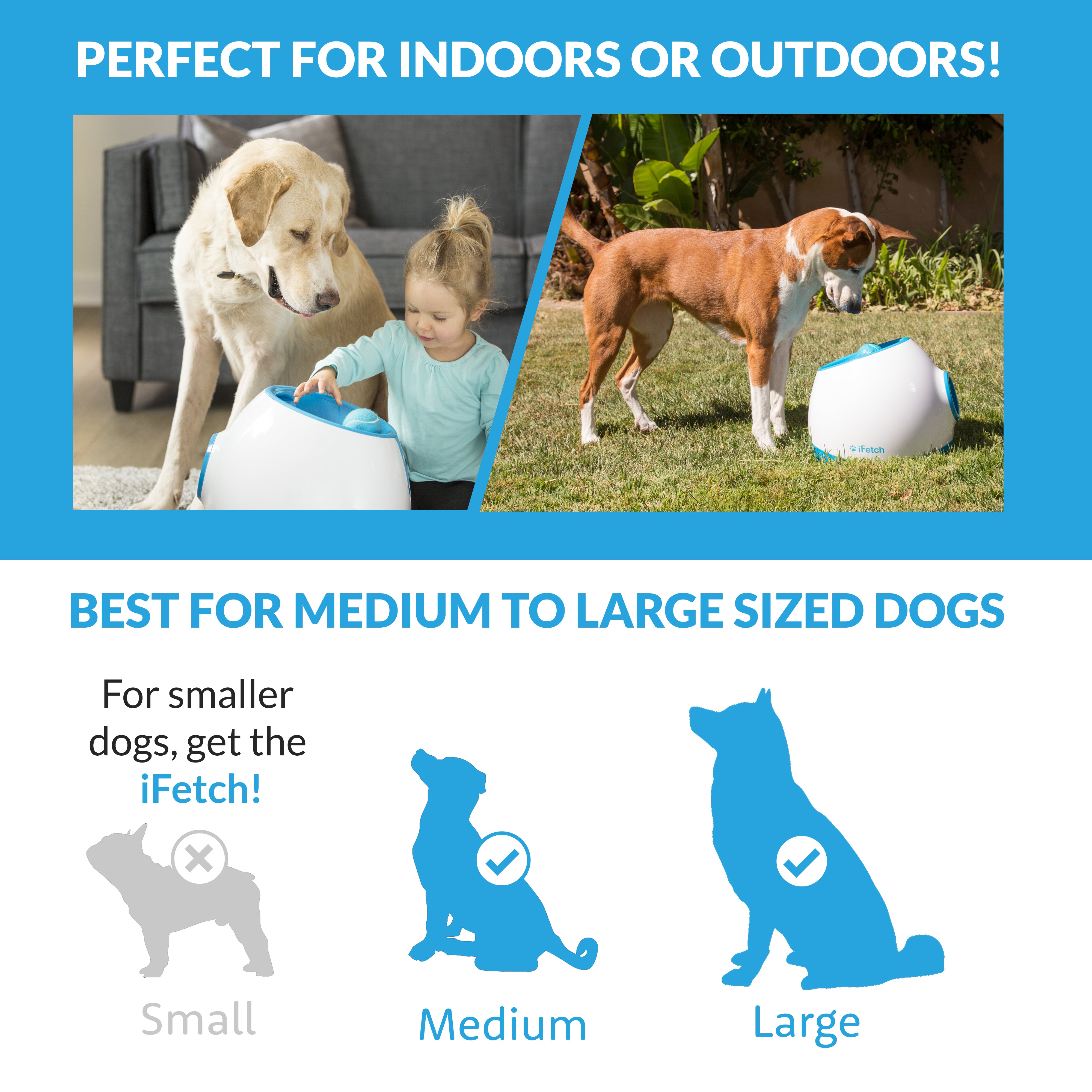 iFetch Too Ball Launcher